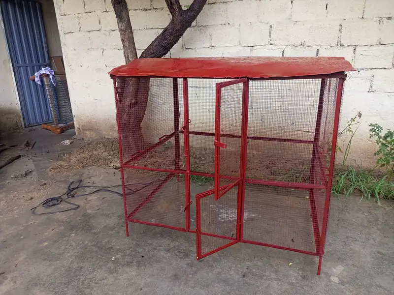 Parrot Or Hen Iron Cage — photo 2