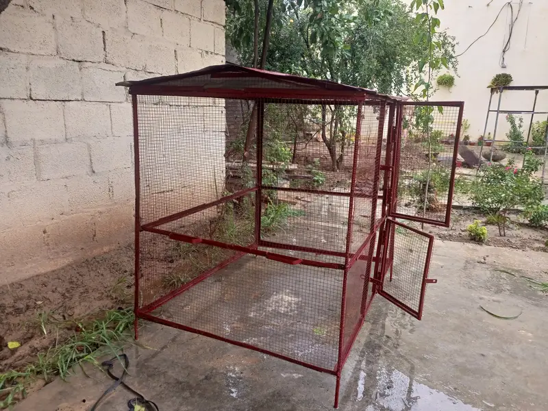Parrot Or Hen Iron Cage — photo 3