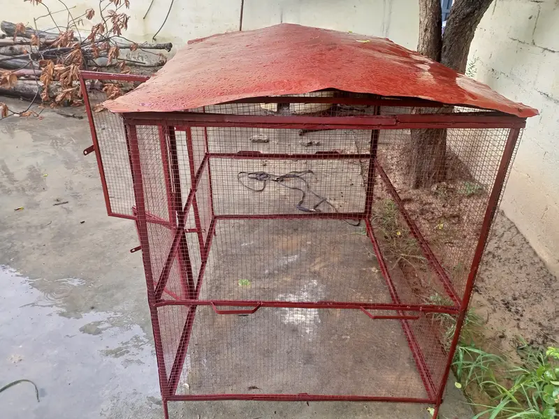 Parrot Or Hen Iron Cage — photo 4