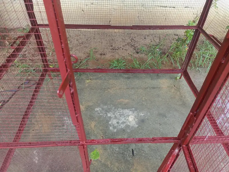 Parrot Or Hen Iron Cage — photo 5
