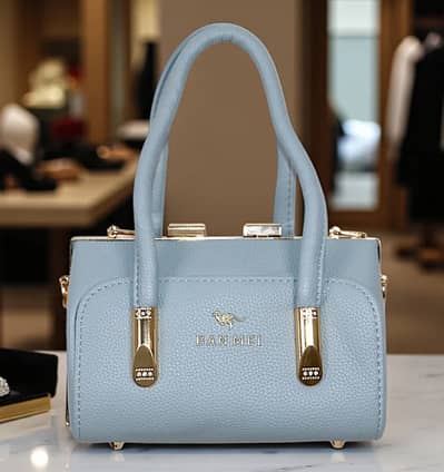 Ladies Handbag Fancy