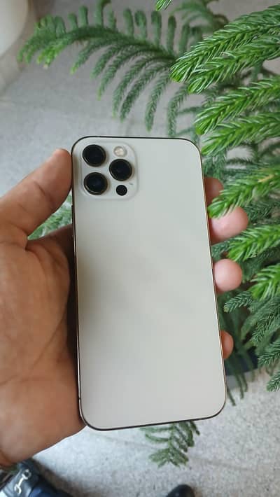 iPhone 12 Pro all okay 10/9.5 factory unlock 128gb