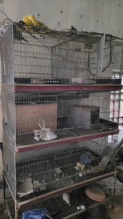 heavy cages for sale
