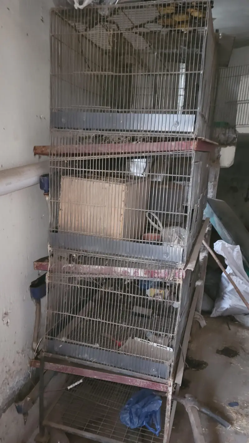 heavy cages for sale — photo 2