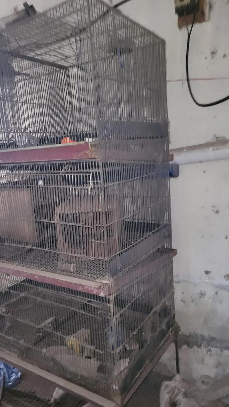 heavy cages for sale — photo 3