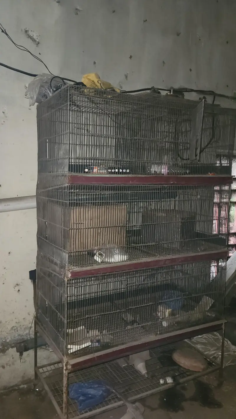 heavy cages for sale — photo 4