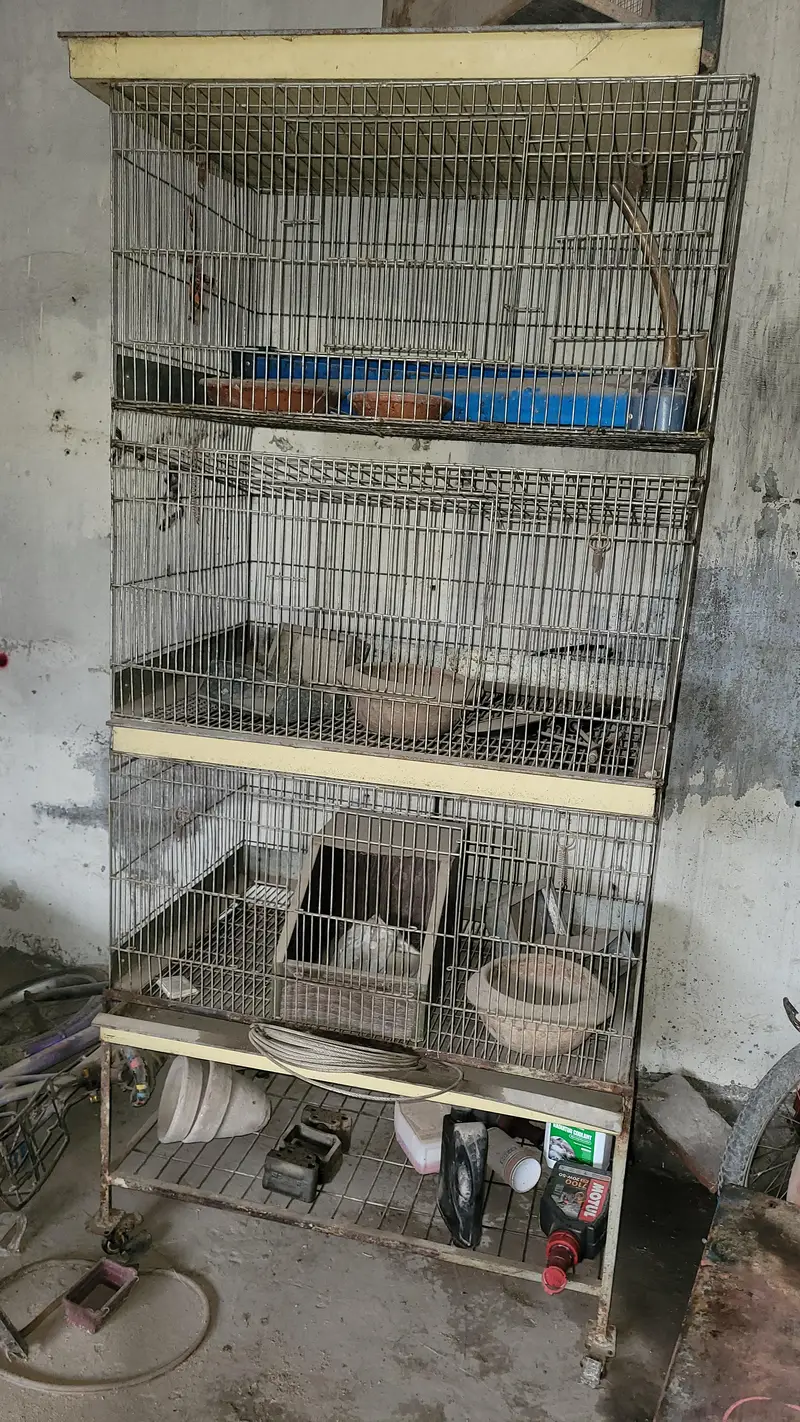 heavy cages for sale — photo 5