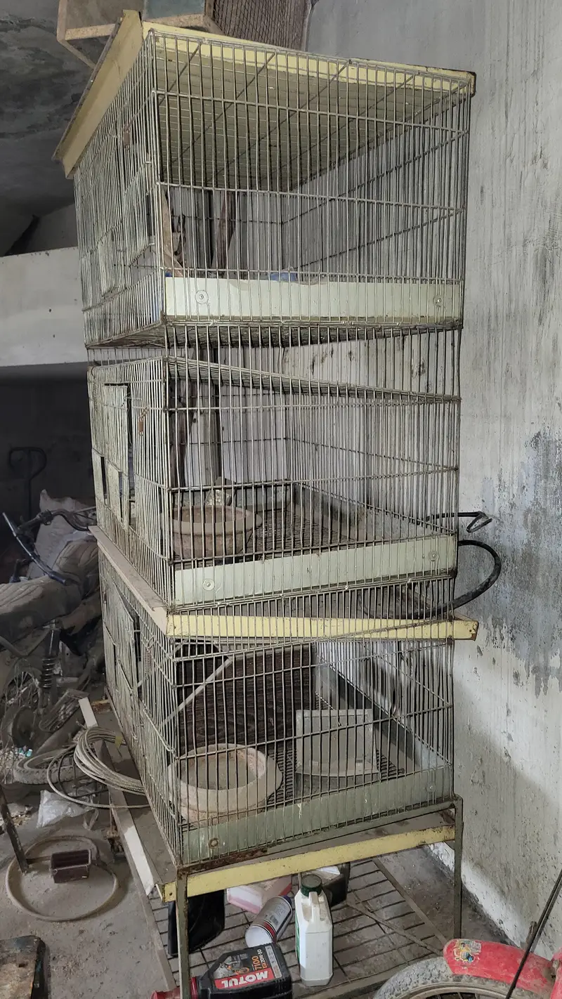 heavy cages for sale — photo 6
