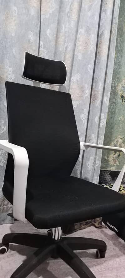 Executive Ergonomic Office Chair