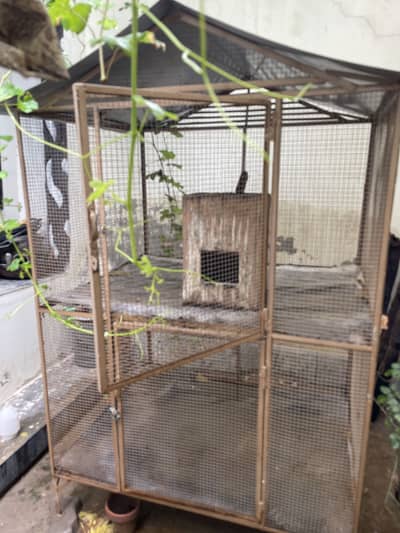 Bara Bird Cage Aviary Double Story 4x6 ft