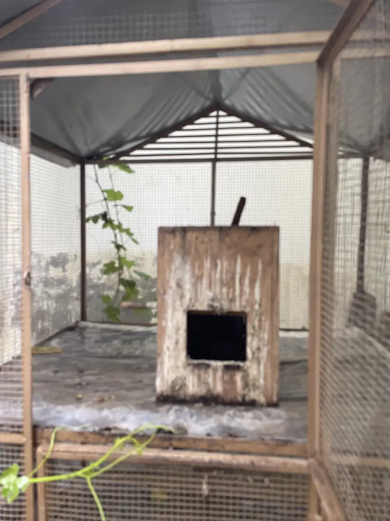 Bara Bird Cage Aviary Double Story 4x6 ft — photo 2