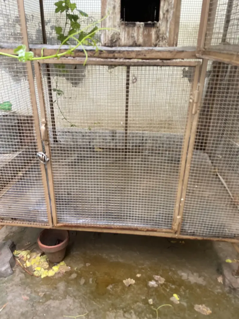 Bara Bird Cage Aviary Double Story 4x6 ft — photo 3