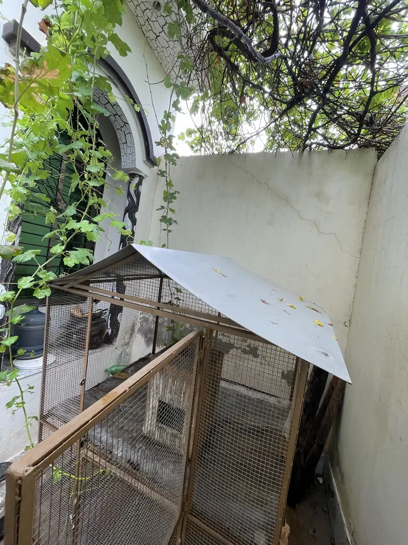 Bara Bird Cage Aviary Double Story 4x6 ft — photo 4