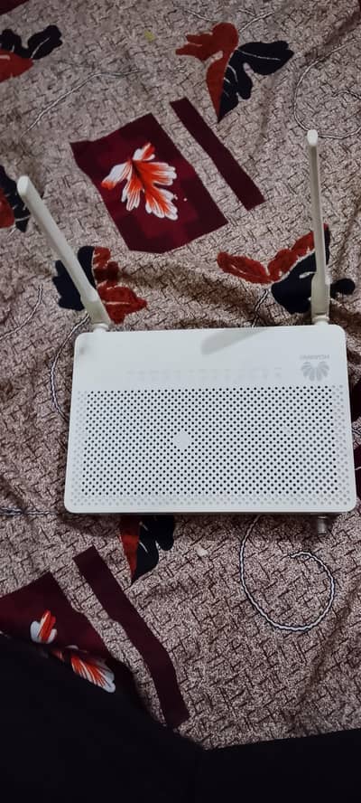 Huawei EchoLife