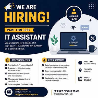 IT Assistant (Matric or Intermediate)