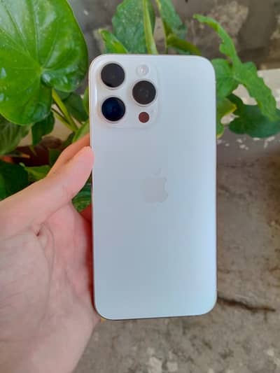 15 PRO MAX (White titanium)