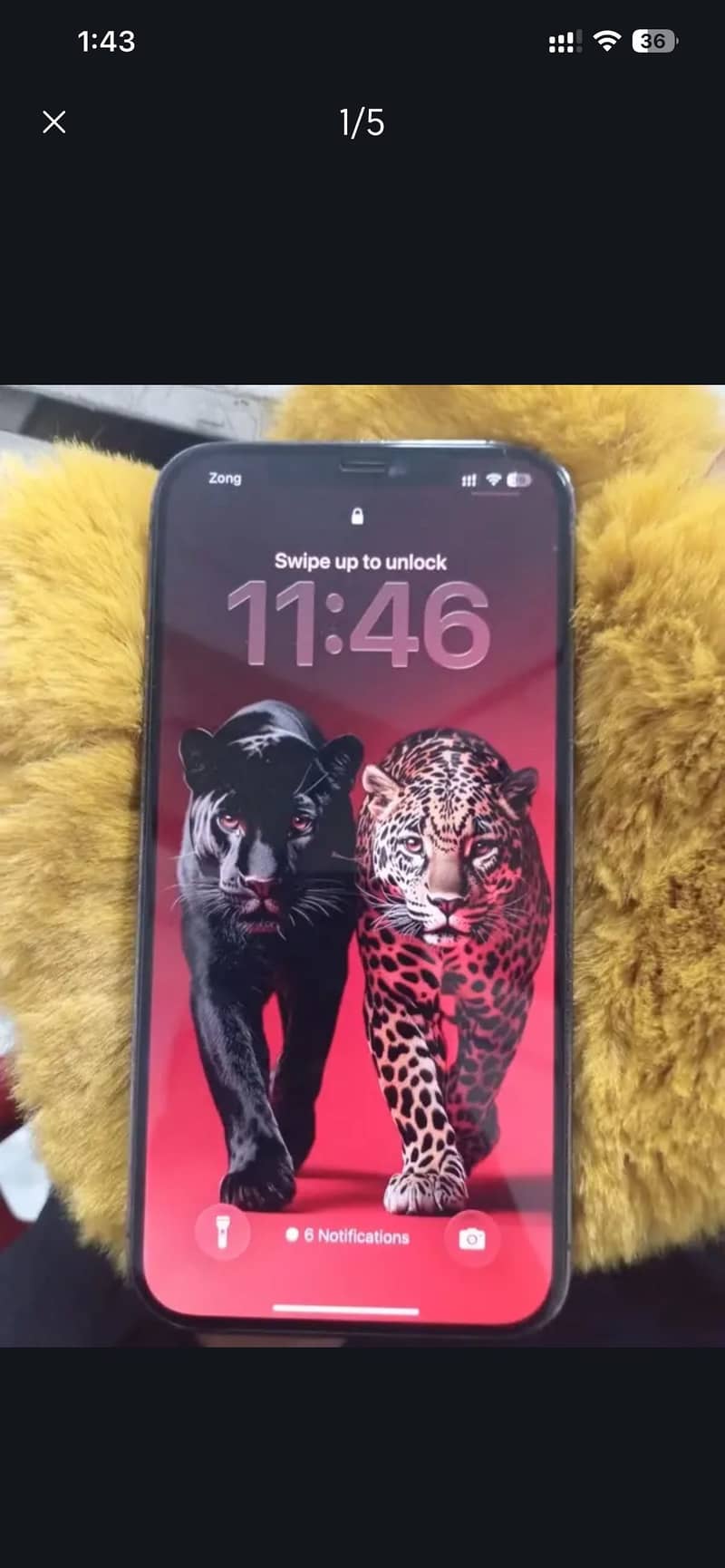 iPhone 12 Pro Max 0