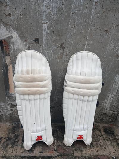 Cricket Pads , Gloves and thighs