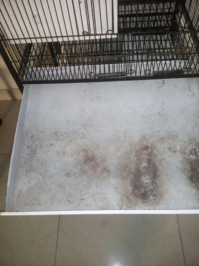 4 portion iron cage for sale — photo 2