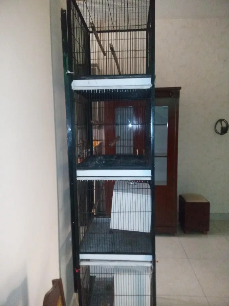 4 portion iron cage for sale — photo 3