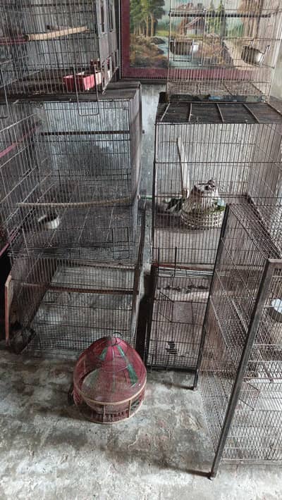 Cages for sale