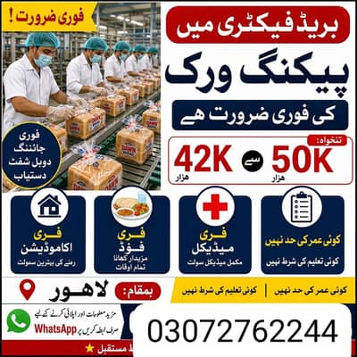 Need urgent staff Down Bread packing factory in lahore