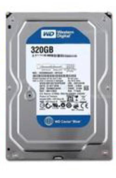 Hard Disk 320GB WD