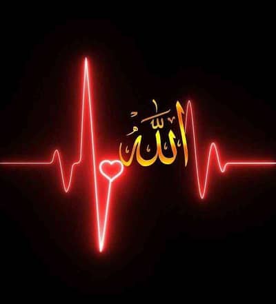 Syed Muhammad Ali Raza