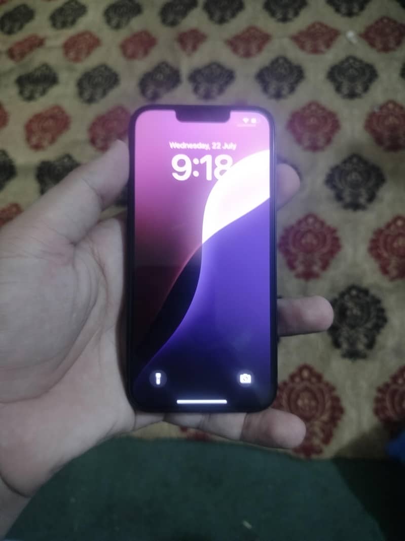 Apple iPhone 13 0