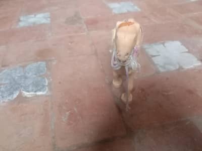 bahut mast hai