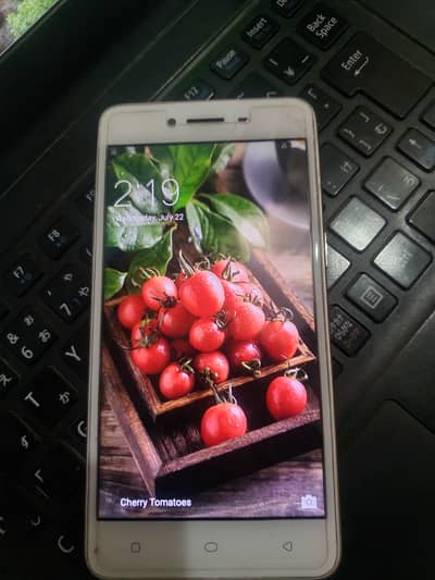 OPPO A37 official dual sim