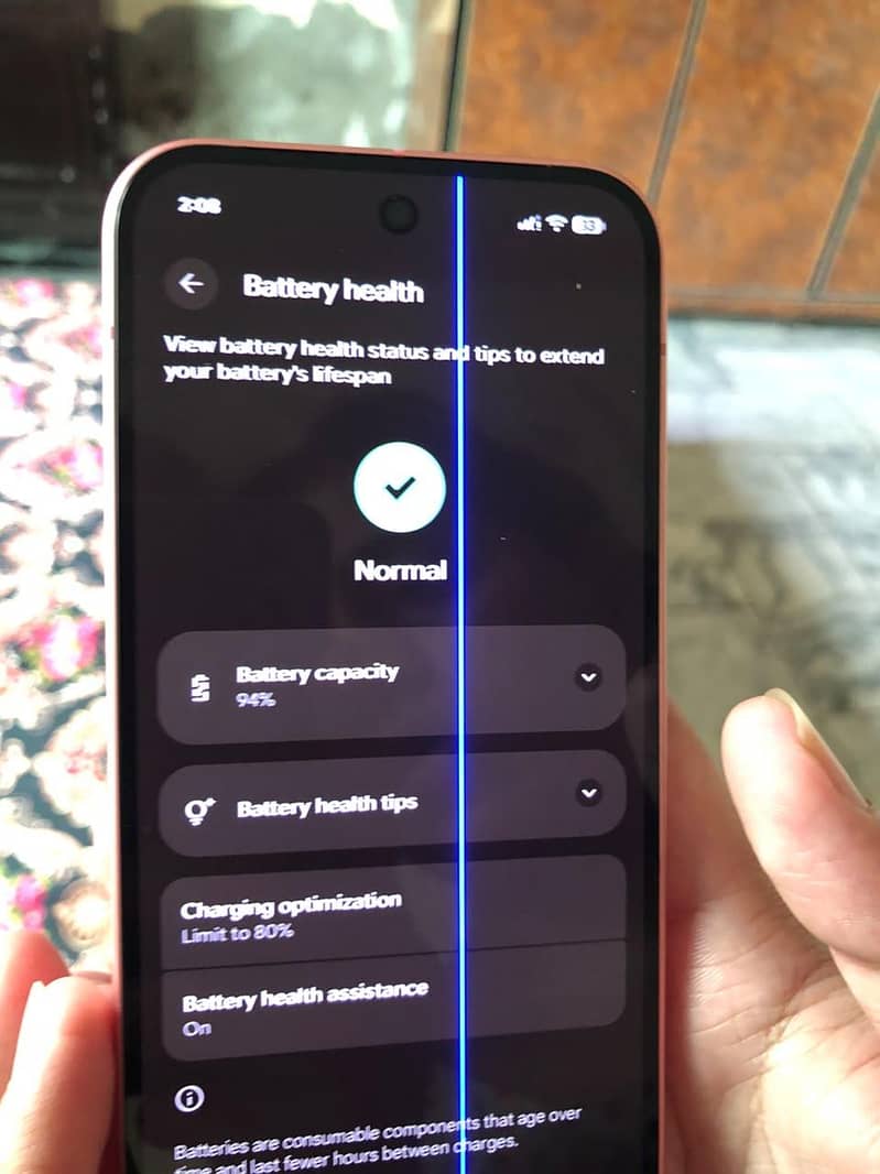 Google Pixel 9 2