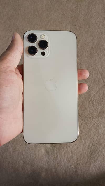 Apple iPhone 12 Pro Max