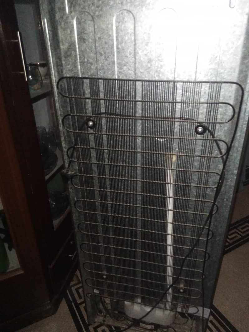 Fridge 4