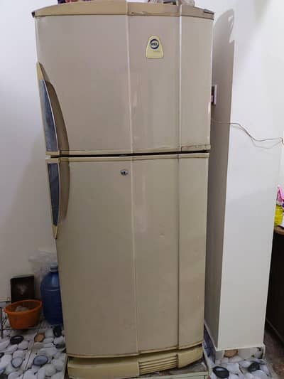 PEL Fridge