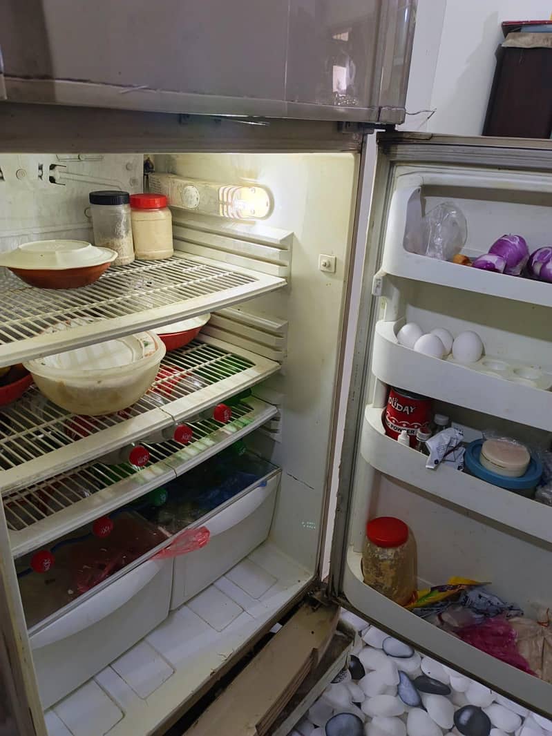 PEL Fridge 1