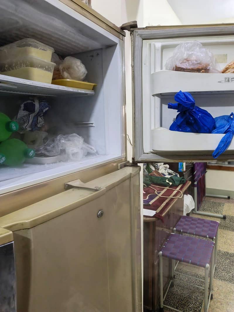 PEL Fridge 2