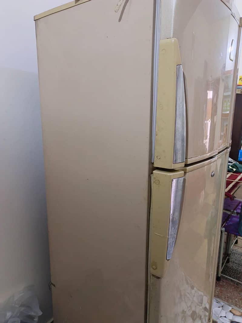 PEL Fridge 3