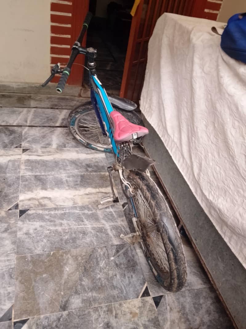 bicycle 1