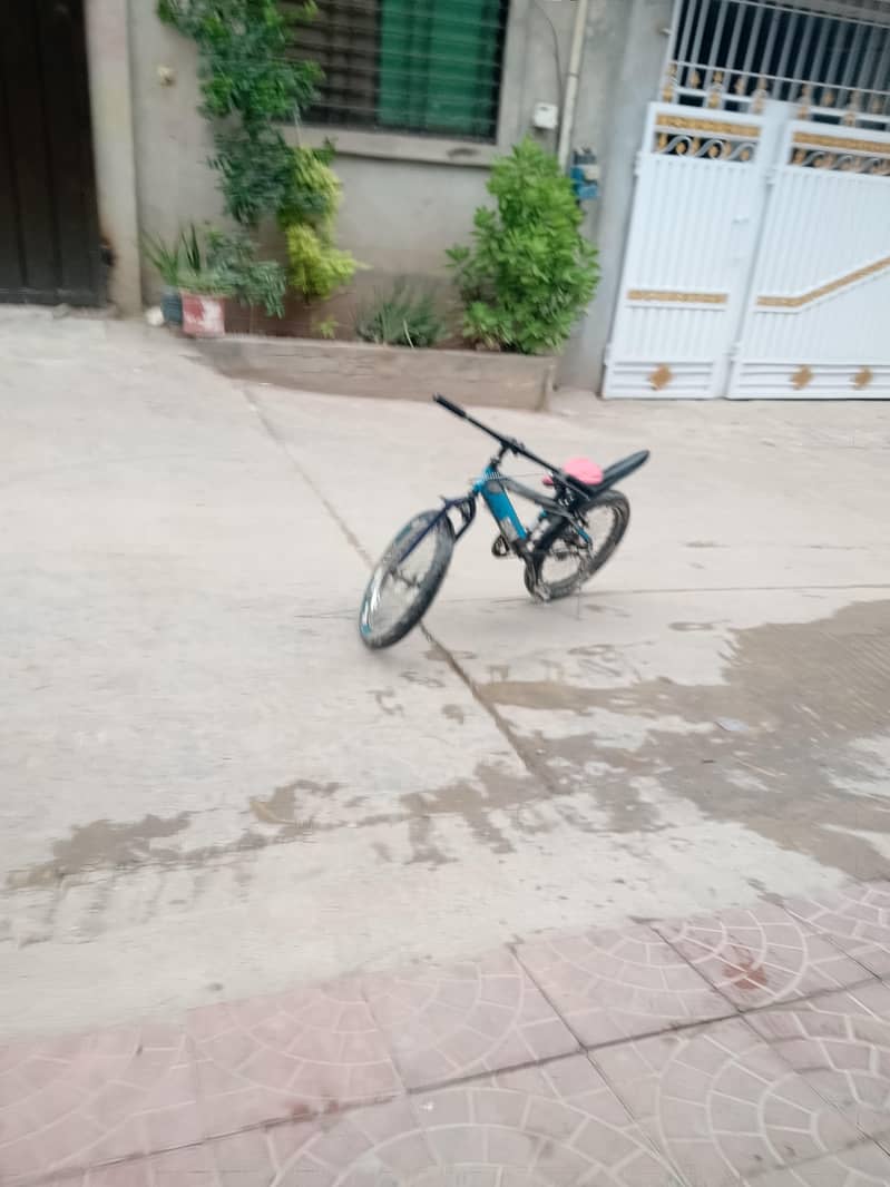 bicycle 2