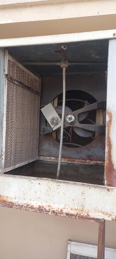 12v Dc coler