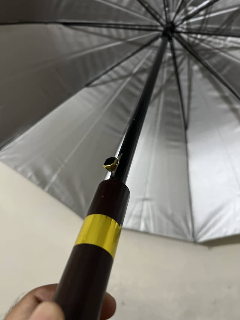 Umbrella 3