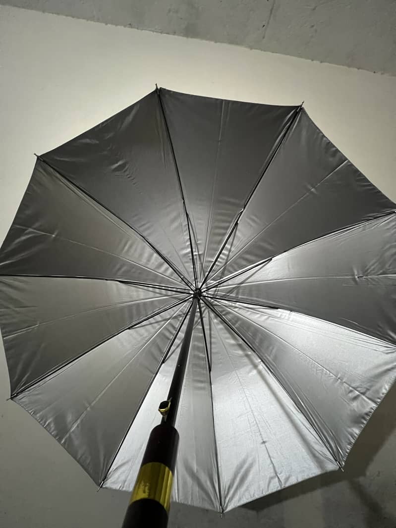 Umbrella 4