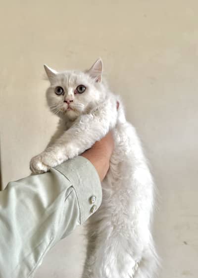 Long coat