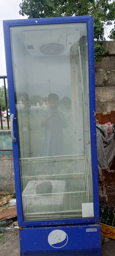 Papsi chillar