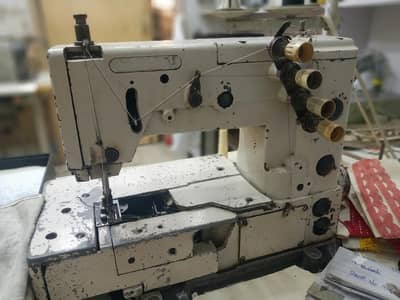 Croatia Pico kansai urgent for sale