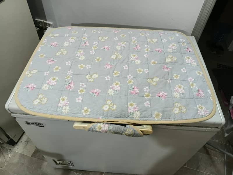 Deep Freezer 1