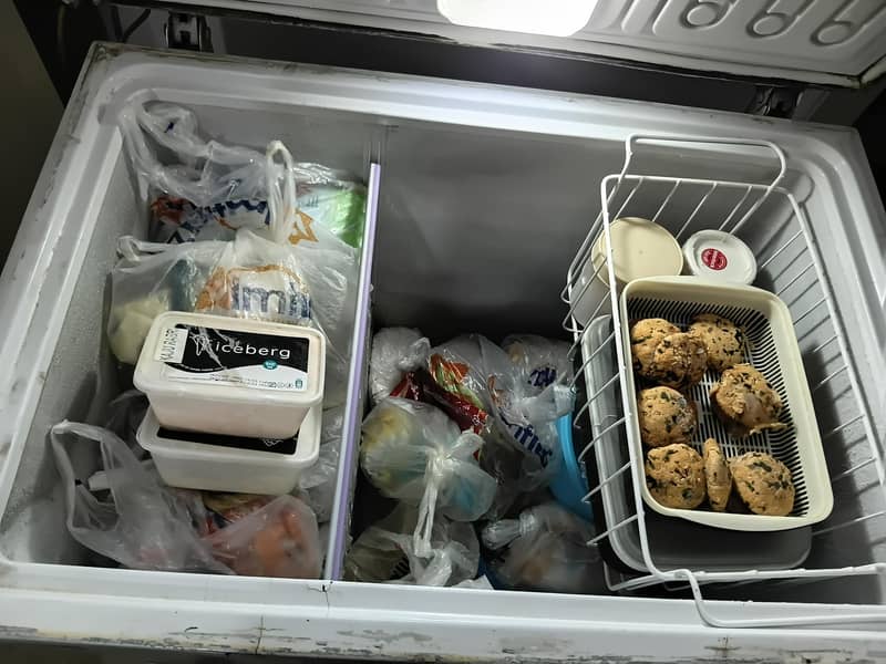 Deep Freezer 2