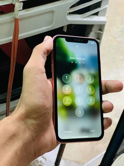 I phone XR All Ok