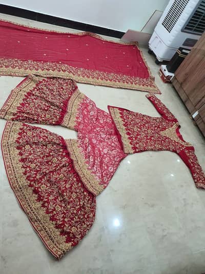 Bridal dress blood Red Color